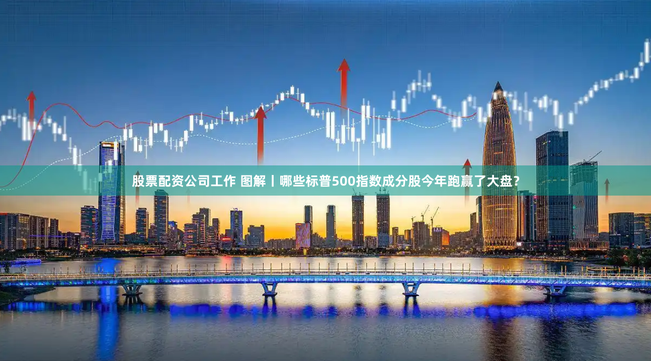 股票配资公司工作 图解丨哪些标普500指数成分股今年跑赢了大盘？