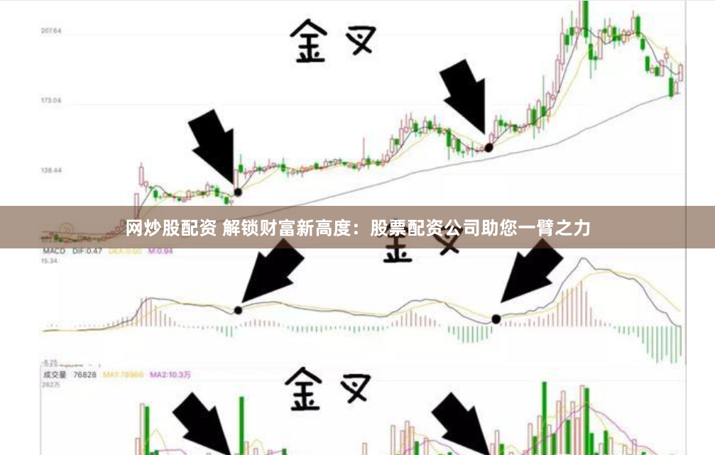 网炒股配资 解锁财富新高度：股票配资公司助您一臂之力